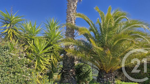 maison à vendre - 5 pièces - 133.0 m2 - SIX FOURS LES PLAGES - 83 - PROVENCE-ALPES-COTE-D-AZUR - Century 21 Agence Du Bord De Mer